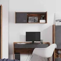 Flint Wall Hanging Cabinet with 1 Door - Raw Steel