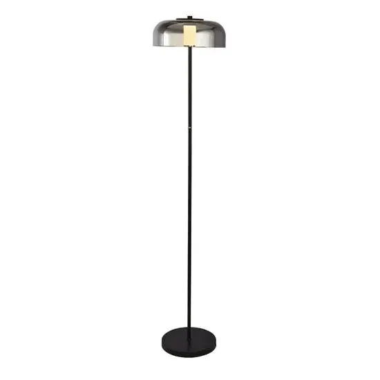 Frisbee LED Floor Lamp - Matt Black, Smoked Glass