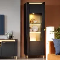 Gaffney LED Display Cabinet with 1 Door - Black, Gold