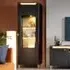 Gaffney LED Display Cabinet with 1 Door - Black, Gold
