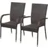 Garima Outdoor Dining Chairs Set of 2 - Brown, Poly Rattan