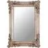 Georga Rectangular Wall Mirror - Pale Silver