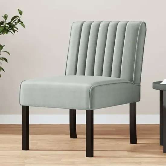 Gilbert Velvet Accent Chair - Light Grey, Wood