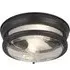 Glasgow 2 Light Clear Glass Shade Flush Light - Black
