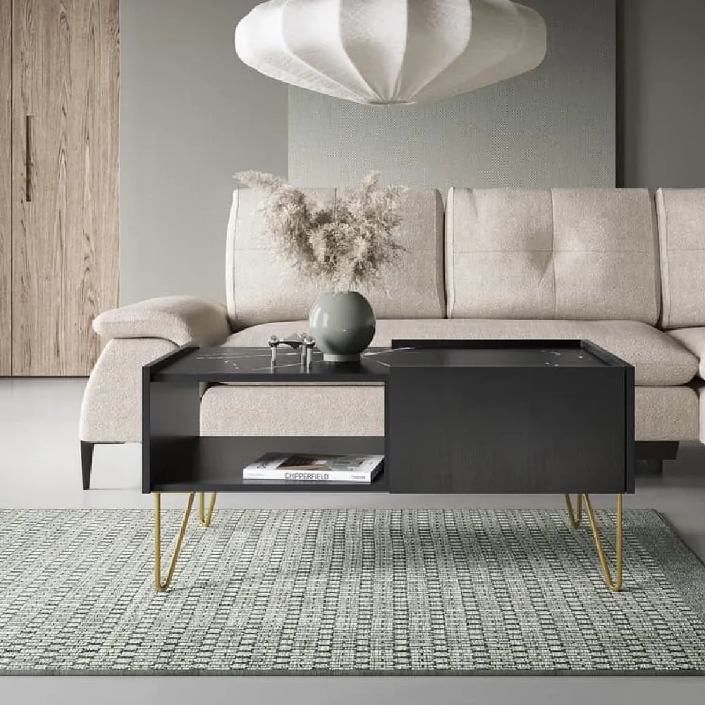 Hamden Coffee Table with 2 Drawers - Black image