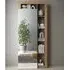 Hanmer 1-Door Mirrored Wardrobe with Shelves - Knotty Oak