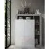 Hanmer High Gloss Shoe Storage Cabinet 2 Doors - White, Concrete