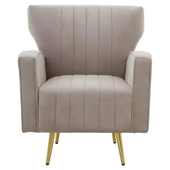 Hasselt Velvet Armchair with Gold Legs - Mink image