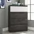 Hayward 4 Drawer Chest - Charcoal Ash, Pearl Oak