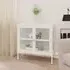 Hetty Glass Sideboard with 2 Doors - White, Steel