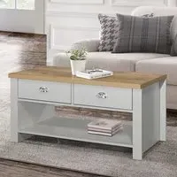 Highland Coffee Table with 2 Drawers - Grey, Oak
