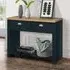 Highland Console Table with 2 Drawers - Blue, Oak
