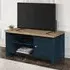 Highland TV Stand with 1 Door - Navy Blue, Oak