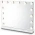Holmdel Small Dressing Mirror with LED Lighting - Clear