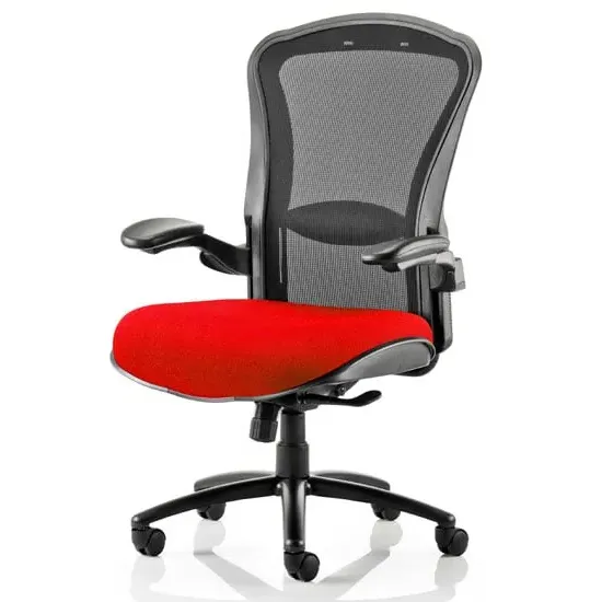 Houston Heavy Duty Office Chair with Lumbar Support - Black image