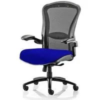 Houston Heavy Duty Office Chair with Lumbar Support - Blue
