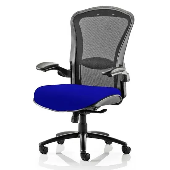 Houston Heavy Duty Office Chair with Lumbar Support - Blue