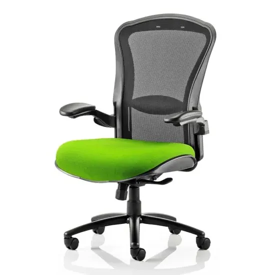 Houston Heavy Duty Office Chair with Lumbar Support - Green