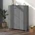 Hull Shoe Storage Cabinet with 2 Doors - Dark Grey, Pinewood