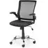 Ickett Mesh Office Chair with Lumbar Support - Black