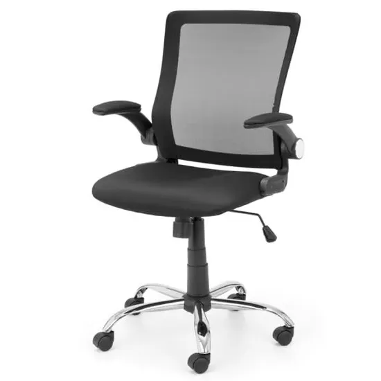 Ickett Mesh Office Chair with Lumbar Support - Black image