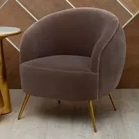 Intercrus Upholstered Armchair - Mink, Velvet