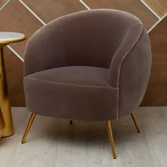 Intercrus Upholstered Armchair - Mink, Velvet