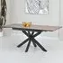 Irmo Large Extendable Dining Table - Ashen Oak