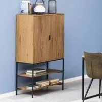 Japar 2-Door Storage Cabinet with Shelves - Wild Oak