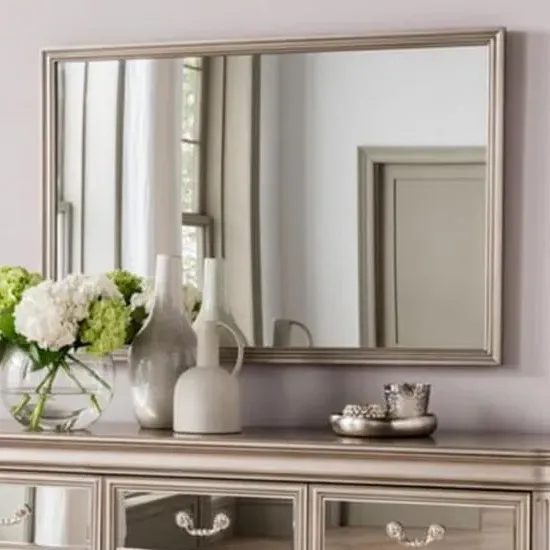 Jessika Rectangular Wall Mirror - Taupe, Eucalyptus image