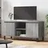 Kacia TV Stand with 2 Doors - Grey Sonoma Oak