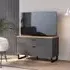 Kanata TV Stand with 1 Flip Door 1 Drawer - Grey, Oak