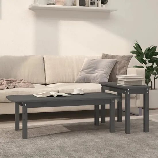 Karis Nesting Coffee Table Set - Grey, Pine image