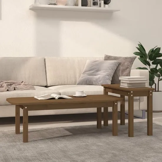 Karis Nesting Coffee Table Set - Honey Brown, Pine