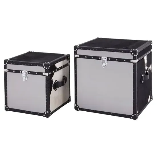 Kensick Set of 2 Storage Trunks - Black, Cowhide