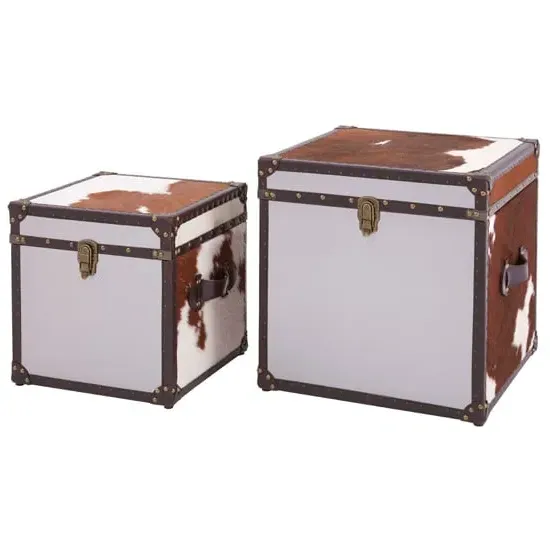 Kensick Set of 2 Storage Trunks - Brown, Cowhide