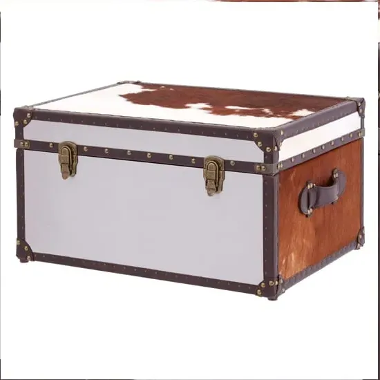 Kensick Storage Trunk - Brown, Cowhide
