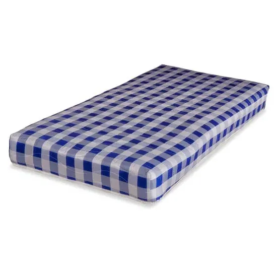 Kids Economy Single Mattress with Open Coil Springs - Blue, White product