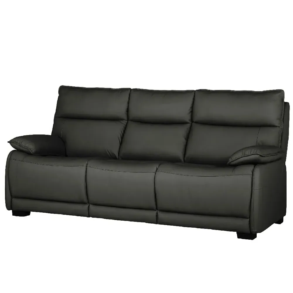 Laramie 3-Seater Sofa with Oak Legs - Dark Grey, Leather