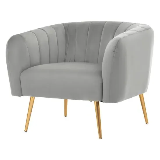 Larrisa Armchair with Gold Legs - Grey, Velvet image