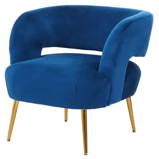 Larrisa Lounge Chair with Gold Legs - Blue, Velvet