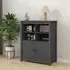 Laval 2 Door Sideboard - Grey, Pine Wood