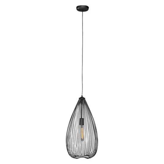 Lavish Teardrop Pendant Light - Black, Iron