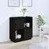 Lazaro Sideboard with 2 Doors - Black, Pine Wood