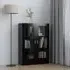 Libet Display Cabinet with 2 Doors - Black, Engineered Wood