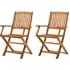 Libni Outdoor Folding Dining Chairs Pair - Natural, Acacia Wood