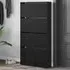 Lowell Shoe Storage Cabinet with 4 Flip-Drawers - Black