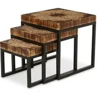 Malign Nest of 3 Tables - Natural, Black Metal