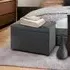 Massillon Small Storage Ottoman with Storage - Black, Fabric