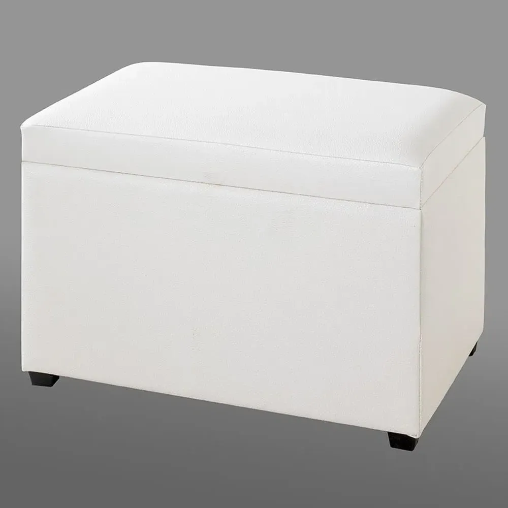 Massillon Small Storage Ottoman with Storage - White, Fabric